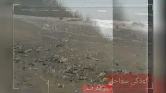 محیط زیست