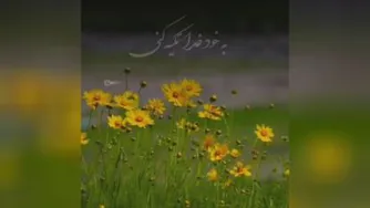 مهدی عسکری