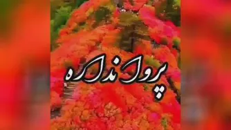 تو مثل گلی کیا این اهنگو یادشونه👌⚘