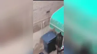 آخی ترسید