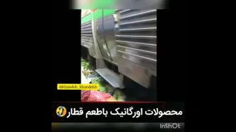 بهترین کلیپ های خنده دار