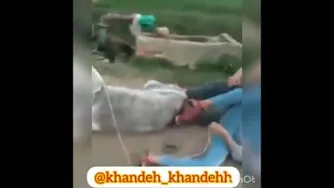 درست سوار شید خب😂