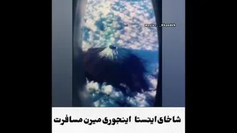 مسافرت شاخ های اینستاگرام😂