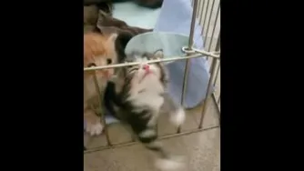ولش کنید بزارید بره😂