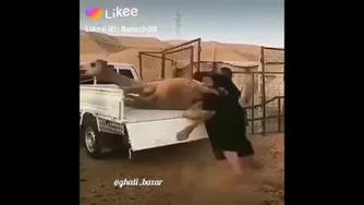 نمیرم آقا😂