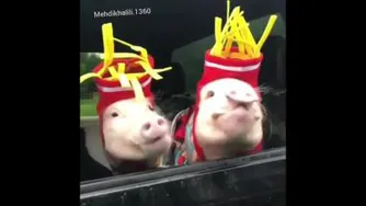 جناب سرهنگ تروخدا ننویس😂