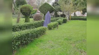 لورا جان