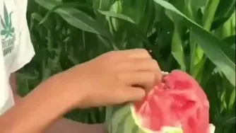 هندوانه