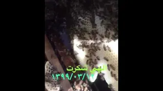 🐝🐝عسل