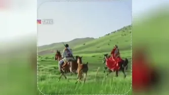 لری شااااااد و عاشقانه🎶🎶🎶❤