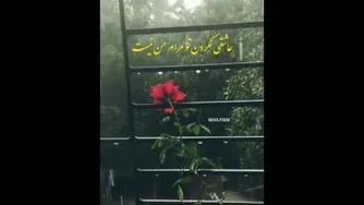 وای اگه بارون بزنه😊😊موزیک عاشقانه بارونی🥰🥰🎶�
