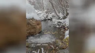 گرشا رضایی نرو