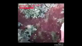 شهیدحاج احمدغلامی_برم رفیقمو بیارم😭😭😭