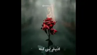 دوست واقعی