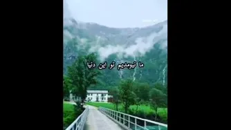 زندگی کن