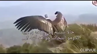 یک کلیپ بسیار زیبای انگیزشی