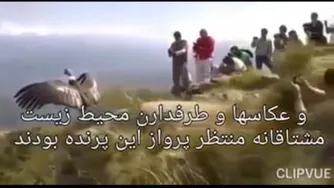 بهترین کلیپ انگیزشی