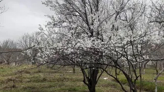 شهر زیبای سامان در چهارمحال و بختیاری