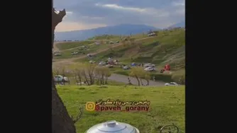 آشپزی در طبیعت