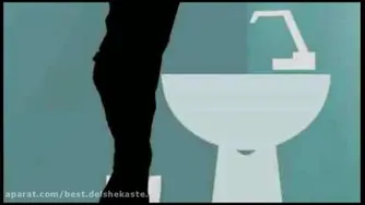 مرتضی پاشایی