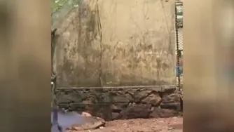 عجب کلاغ لجباز بود
