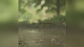حرفِ دِل