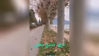 تقدیر را باور نکن