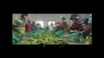 فوراور احمدی