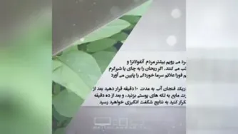 خواص درمانی ریحانه