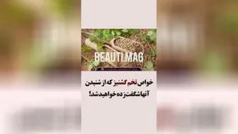 خواص تخم گشنیز👉👉👉