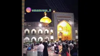دلتنگ امام رضا