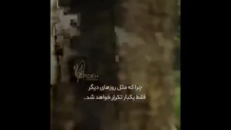 انگیزشی شاد کوتاه