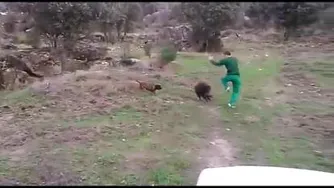 گراز
