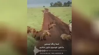 کلیپ عالی0👍👍👍👍🌺🌺