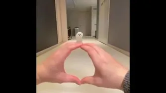 طنز
