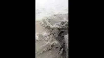 سرگرم