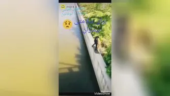 دخیلک یا ابو فاضل