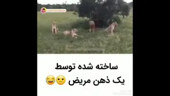 فقط بخند