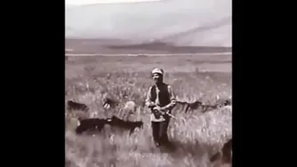 دنیای بی وفا