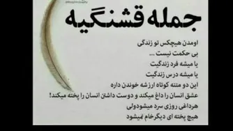 زودنیوزمجتبی