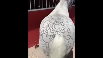وااااای خدااااا