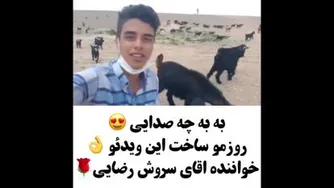 فقط بزغالها شیطون ببینین