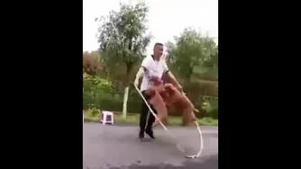 ایول به این هماهنگی
