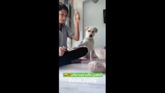 سگ
