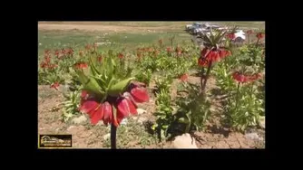 Ecocamp