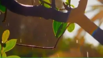 سخن عشق