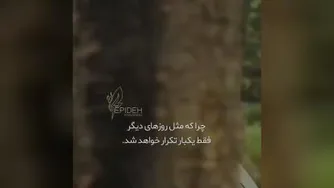 از لحظه های زندگیت لذت ببر