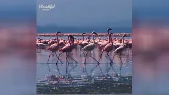 طبیعت و آرامش(چقدر لذت بخشه)
