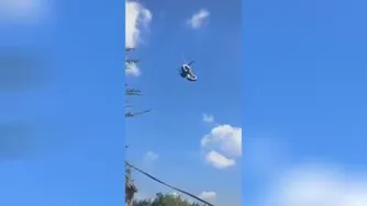 مار در دام عنکبوت