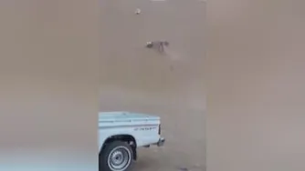 راننده حرفه ای